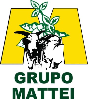 Grupo Mattei